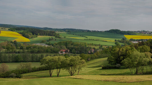 Panorama