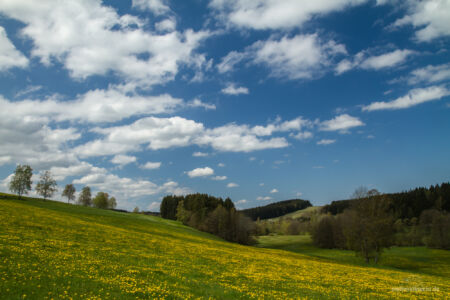 Vogtland im Frühling