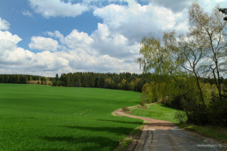 Weg ins Grüne